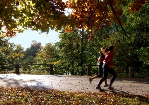 Parcours santé