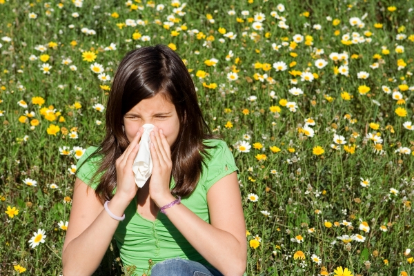 Notre dossier sur les allergies aux fleurs